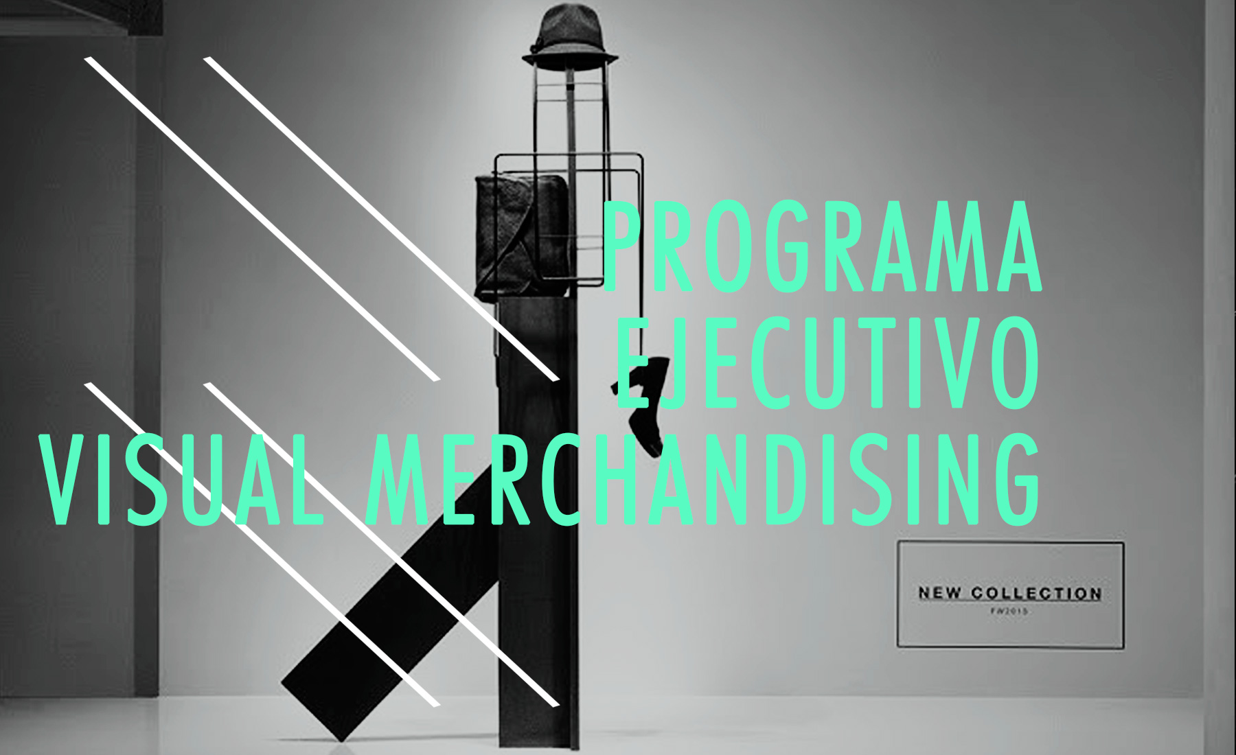 Programa Ejecutivo de Visual Mechandising. Universidad del Cema. Marcela Seggiaro