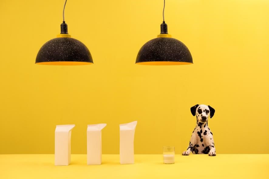 Visual Storytelling. Marcela Seggiaro