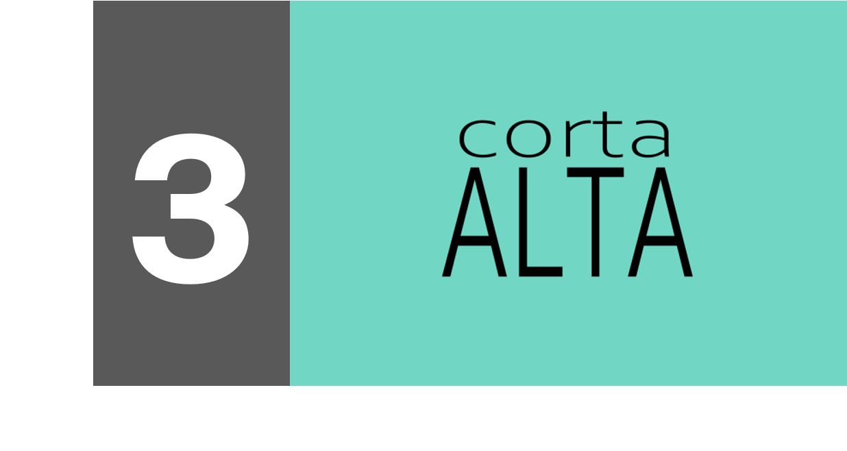 Diseño de Logotipos: 5 Tips ¿Serif o Sans Serif? Marcela Seggiaro