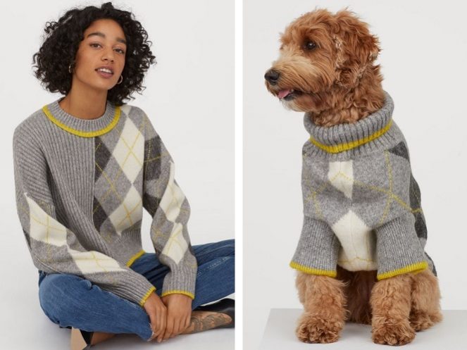 Trends Productos y Servicios Pet Friendly. Marcela Seggiaro