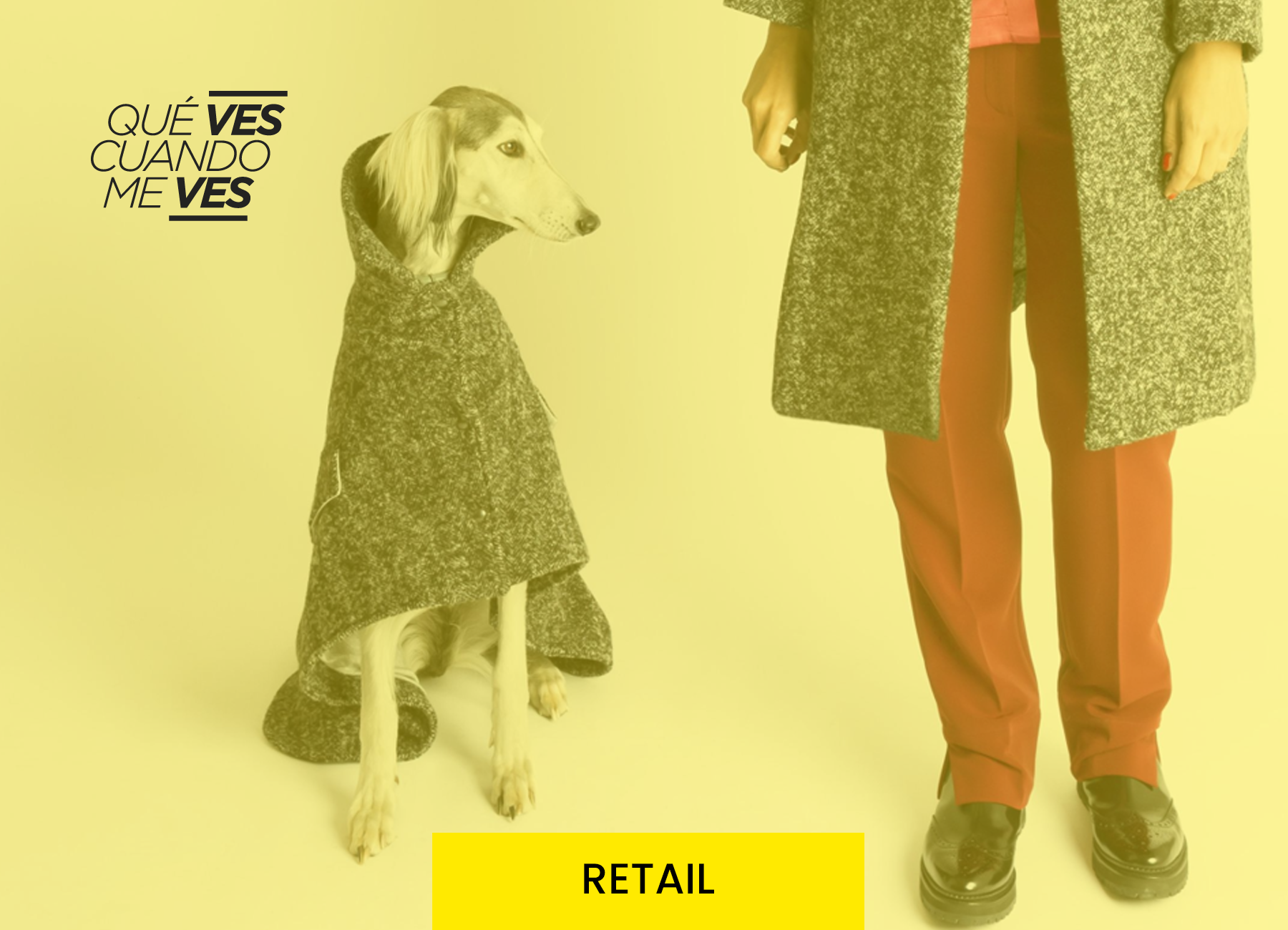 Trends Pet Friendly Productos y Servicios Marcela Seggiaro