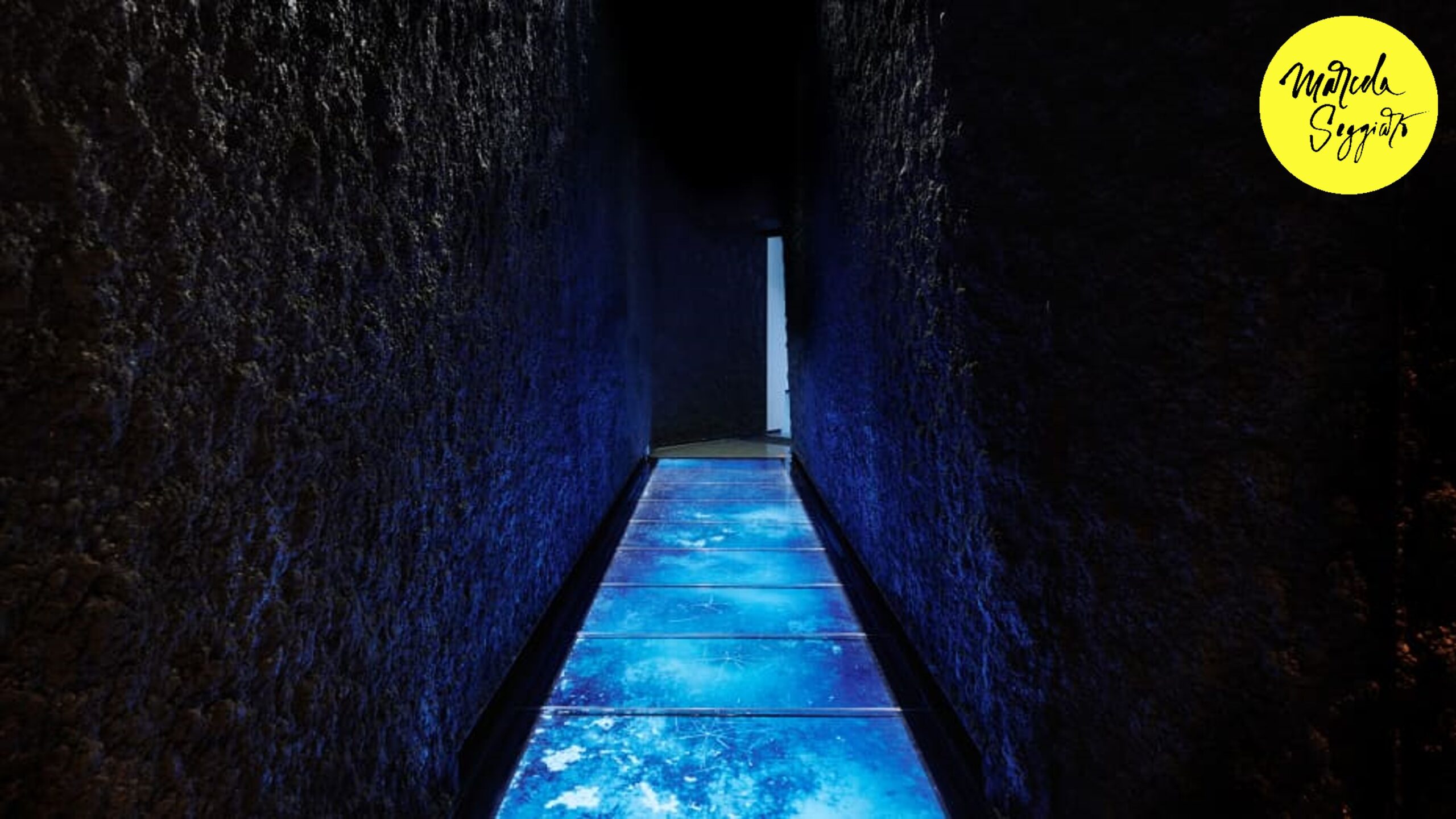 Tendencias Retail 2024: Vidas activas, ¡Experiencias nuevas en Tiendas Comerciales! Marcela Seggiaro