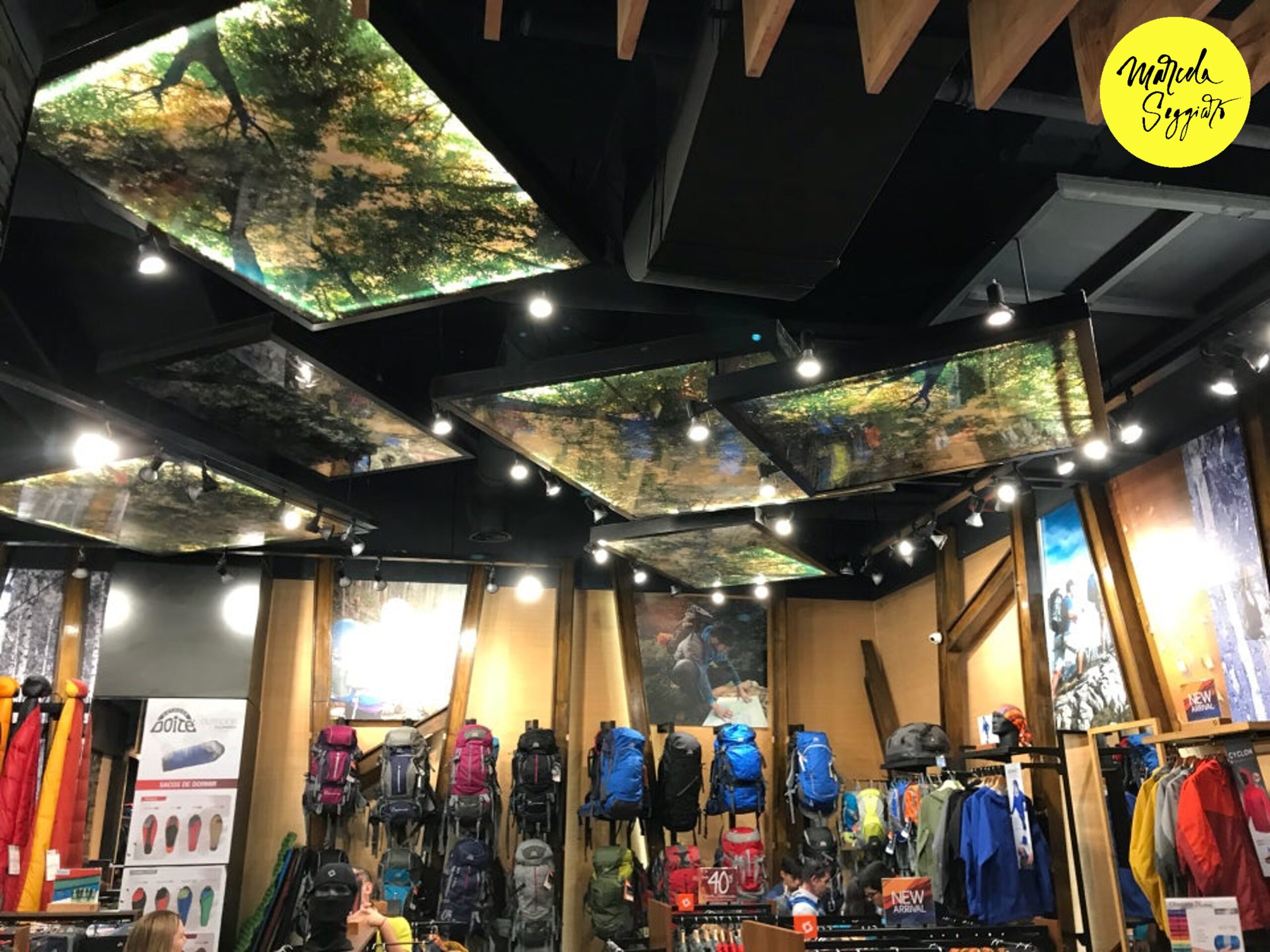 Tendencias Retail 2024: Vidas activas, ¡Experiencias nuevas en Tiendas Comerciales! Marcela Seggiaro