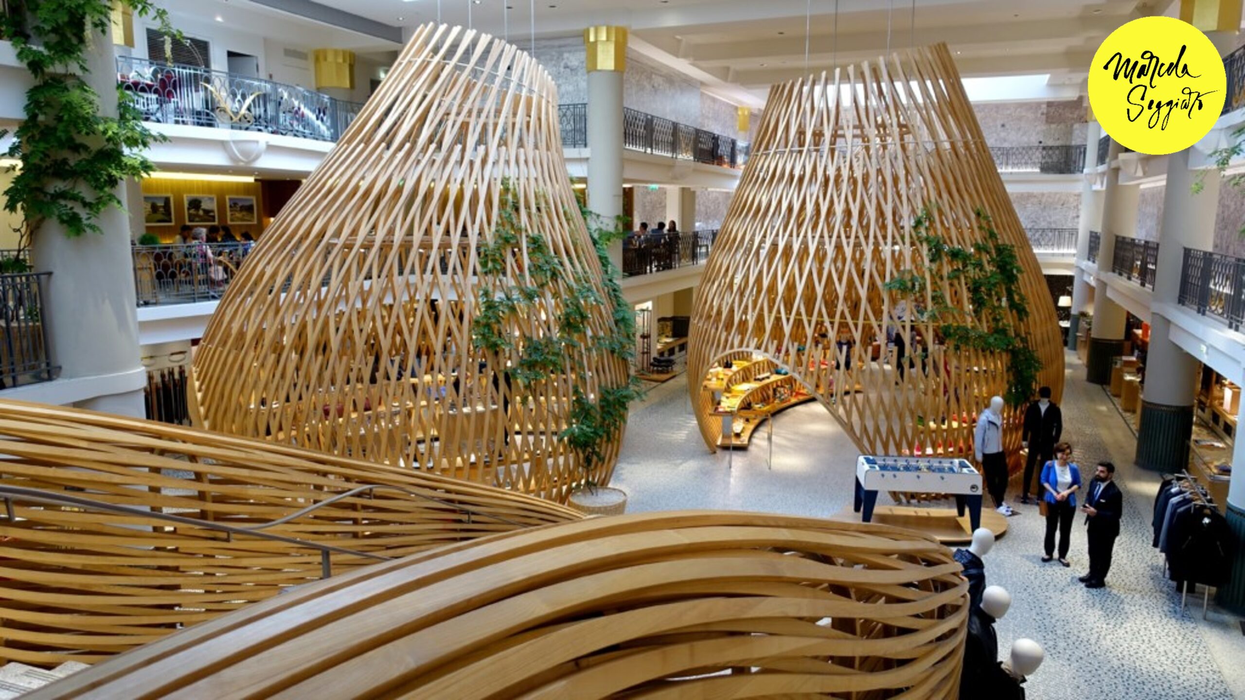 Tendencias Retail 2024: Vidas activas, ¡Experiencias nuevas en Tiendas Comerciales! Marcela Seggiaro